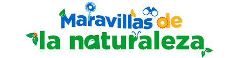 Maravillas de la naturaleza